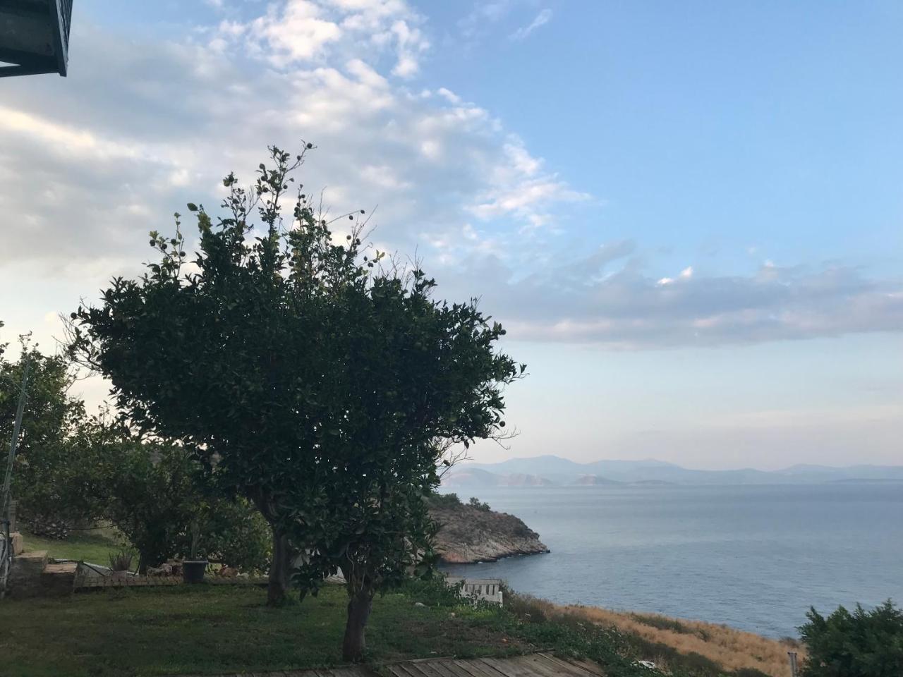 Villa Castle Sea View Parálion Ástros Exteriör bild